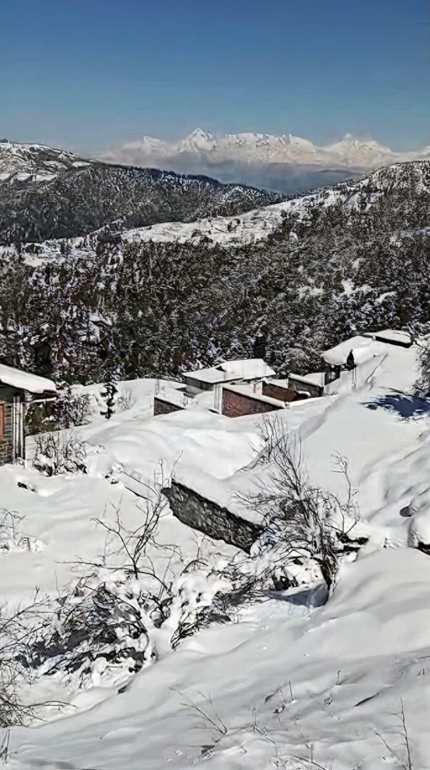 Winter scenery featured in brochure